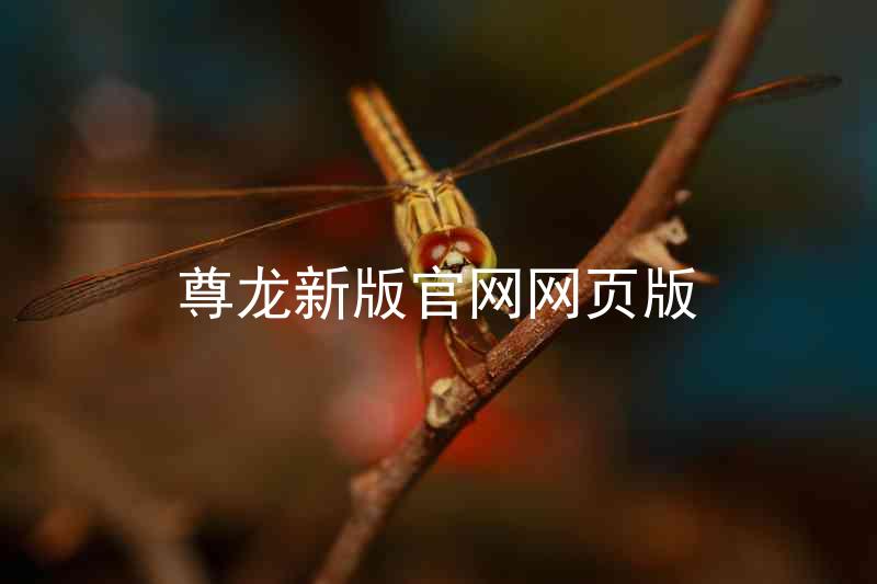尊龙新版官网网页版
