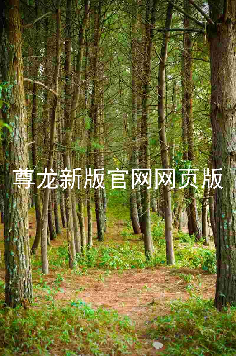 尊龙新版官网网页版