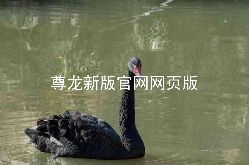 尊龙新版官网网页版