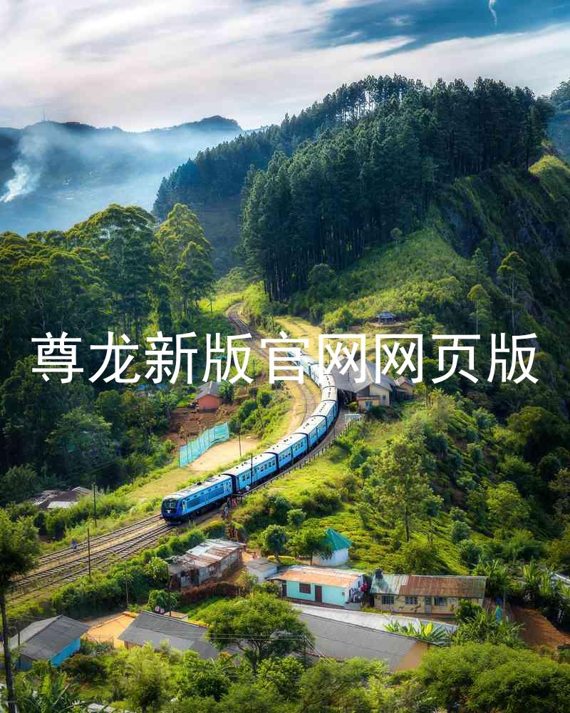 尊龙新版官网网页版