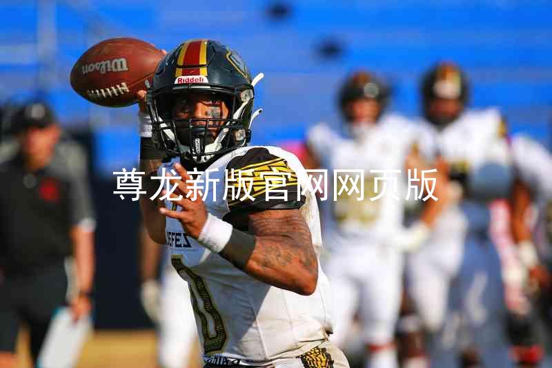尊龙新版官网网页版